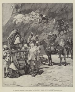 Framryckningen mot Dongola, ett egyptiskt blandat artilleribatteri